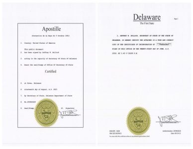 Delaware Company Documents